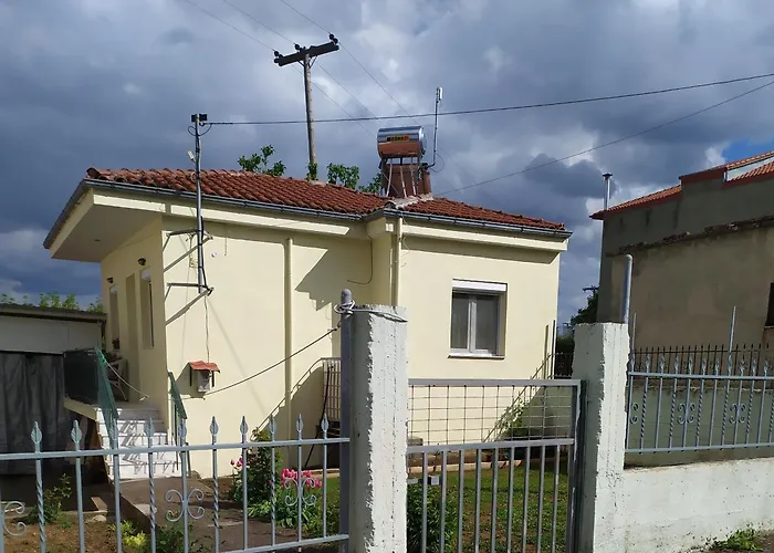 Ellie\'S House