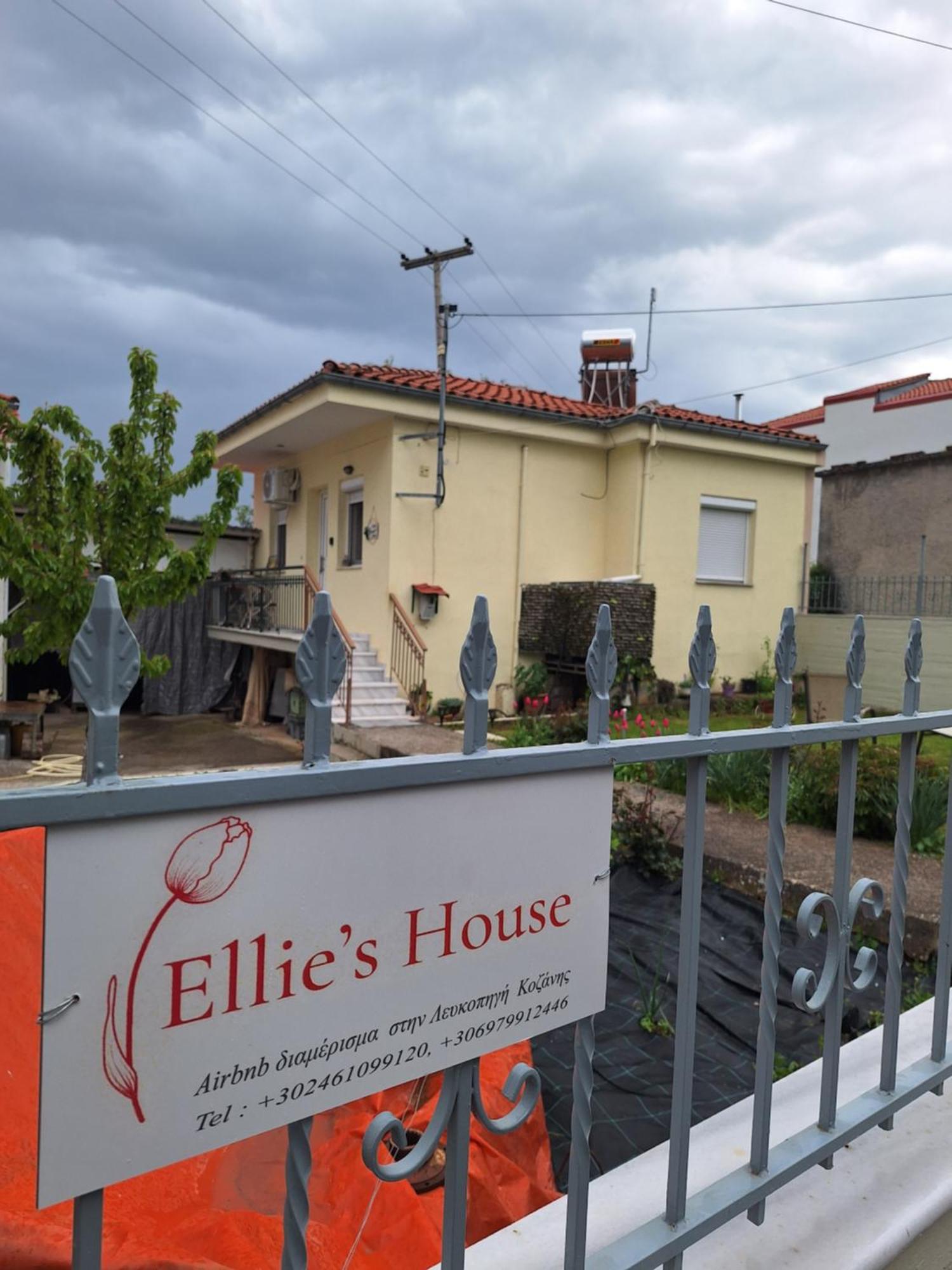 Апартаменты Ellie's House Козани